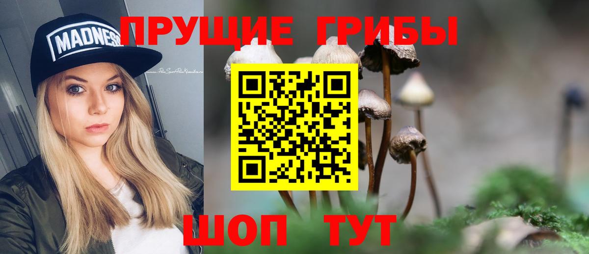 Псилоцибиновые грибы Psilocybe  Псилоцибиновые грибы Psilocybe  Переславль-Залесский  Вход с VPN 
