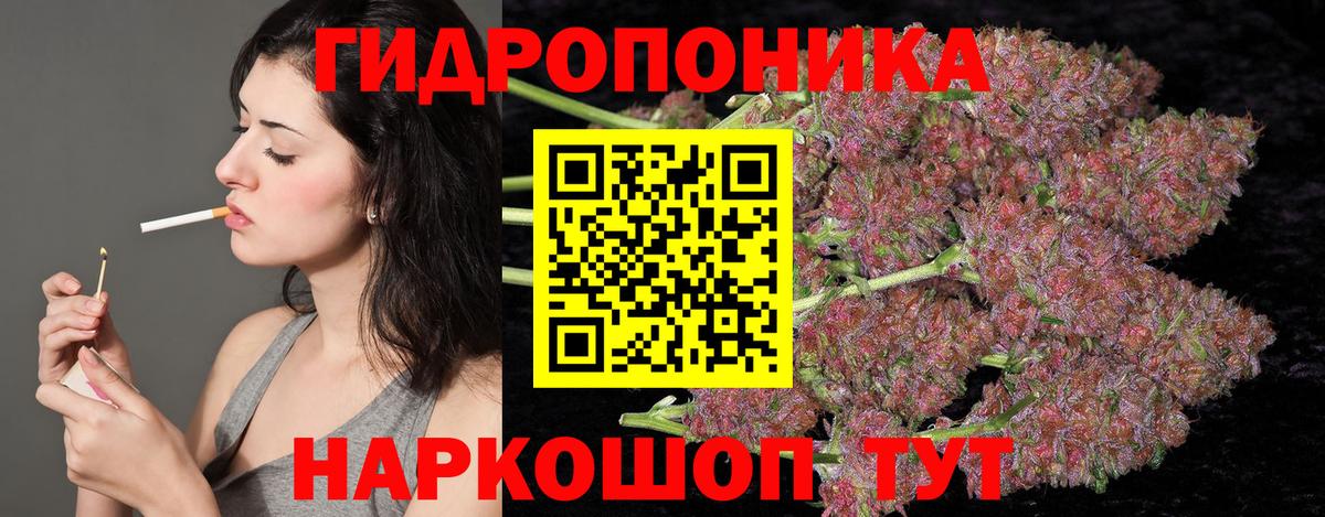 Шишки марихуана планчик  Бошки Шишки тримм  Переславль-Залесский  Марихуана MAZAR 